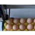 Smart Egg Thermal Inkjet Printer